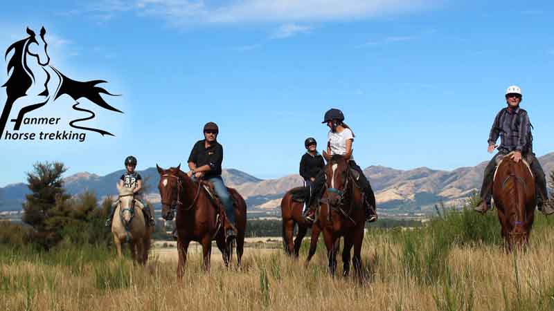 Experience a magical 2 hour horse trek over beautiful rolling farmland with Hanmer Horse Trekking.